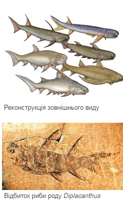 56478644697ртроп.png
