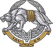 Сили спеціальних операцій Збройних Сил України.jpg