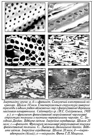 Інертиніт.jpg