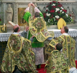 Месаtridentum7.jpg