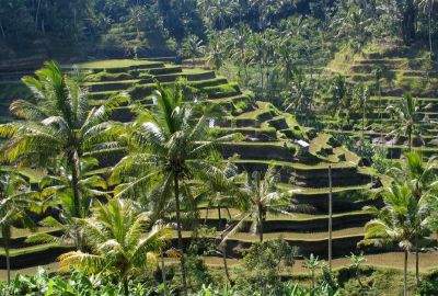 Bali panorama.jpg