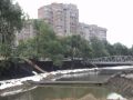 Саксагань3.jpg