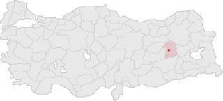 Бінгель.png