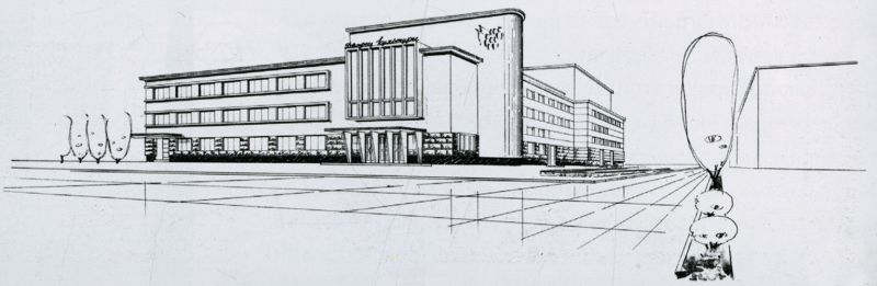 Файл:Нівіна4.jpg