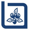 VUE i 9.jpg