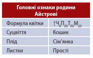 Айстрові таблиця.jpg