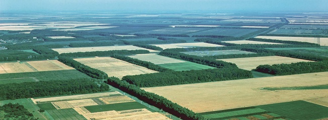 Агроланшафт.jpg