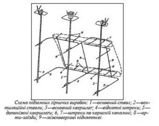 Стовбур3.jpg