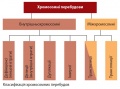 Аберації хромосом.jpg