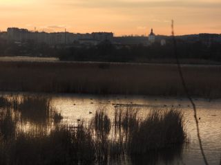 Бурштинське водосховище.jpg