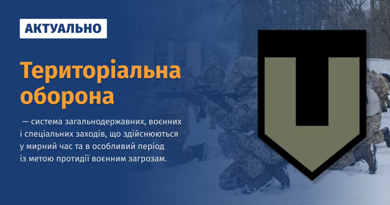 Файл:Територіальна оборона ВУЕ.png