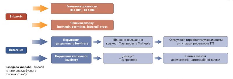 Файл:Базедоба х-ба1.jpg