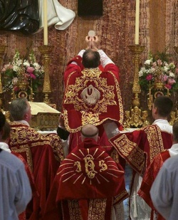 Месаtridentum8.jpg