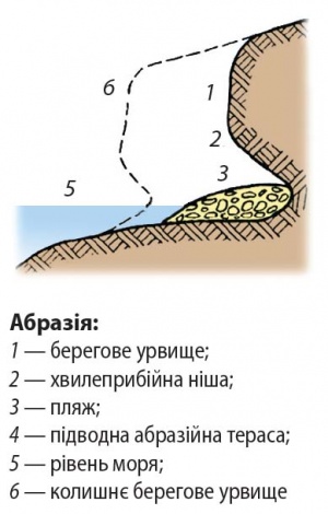 Абразія.jpg