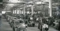 Zaz plant.jpg