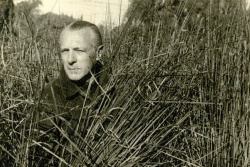 Аморім, Енріке Мануель.jpg