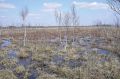 Мініатюра для версії від 16:30, 3 травня 2022