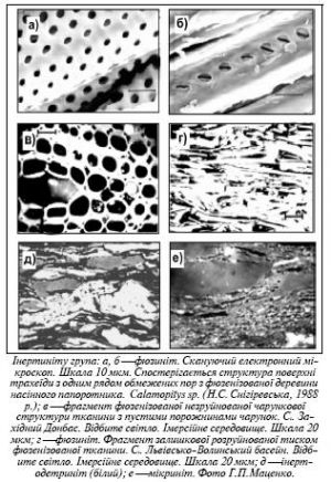 Інертиніт.jpg