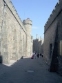 05.JPG