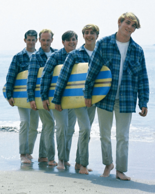The Beach Boys.png