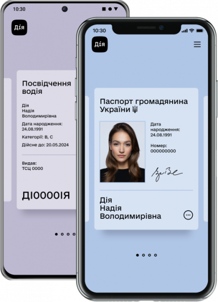 Файл:Programma-diya.png