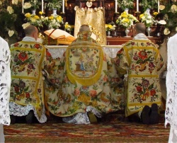 Месаtridentum4.jpg